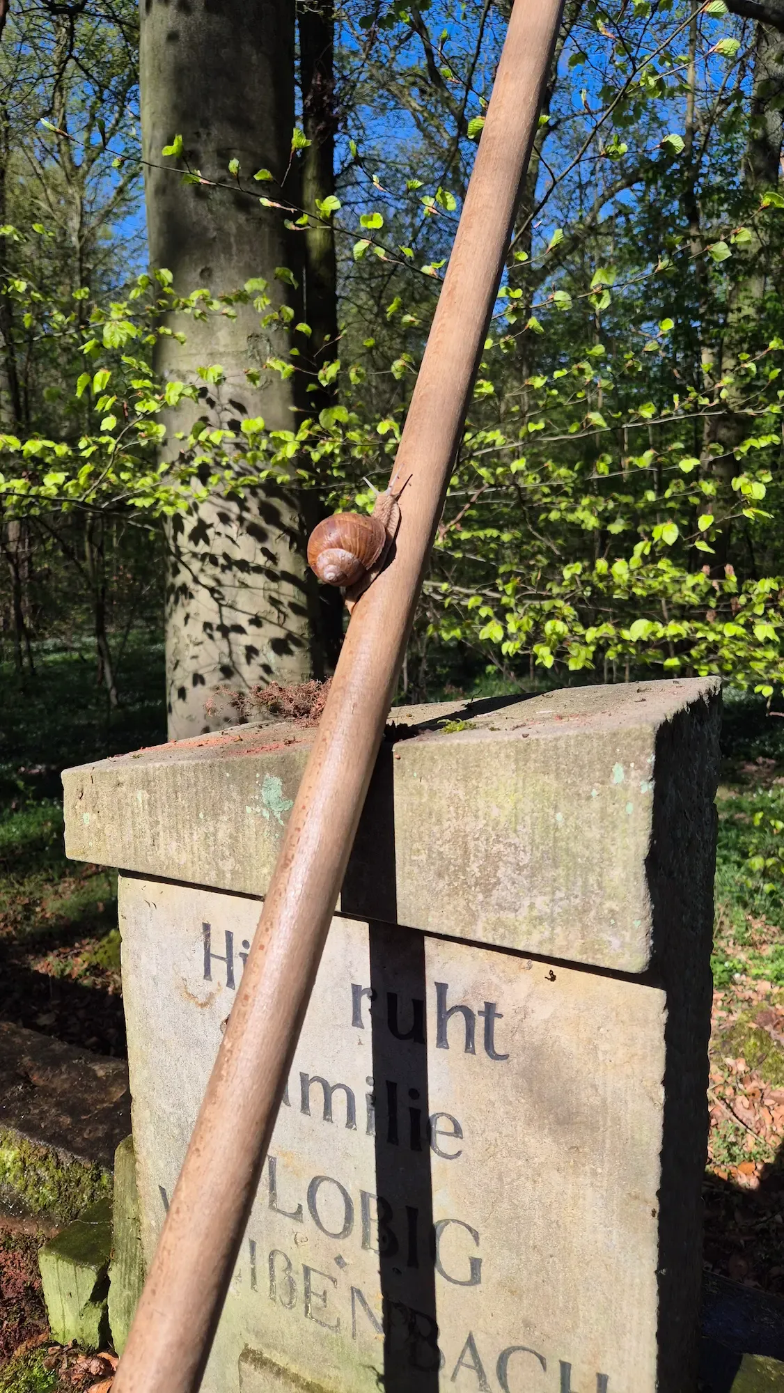 Frühjahrsputz an der historischen Gruft